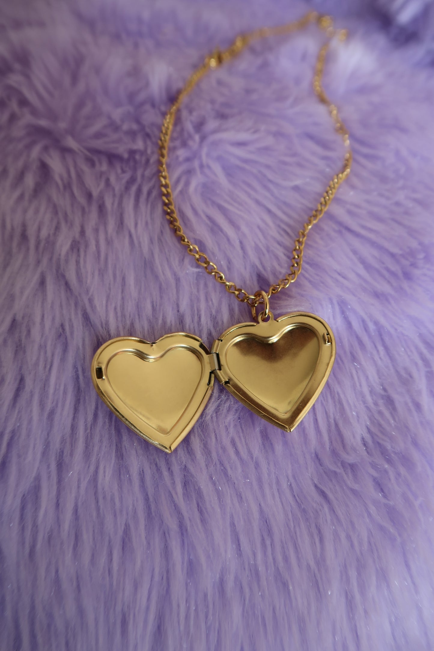 silver and gold stainless steel dyke heart lockets